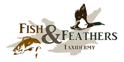 Fish & Feathers Logo